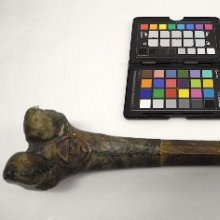 gallery thumb