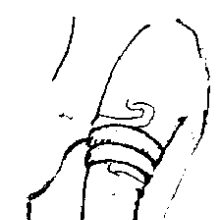 gallery thumb