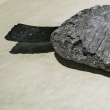 gallery thumb