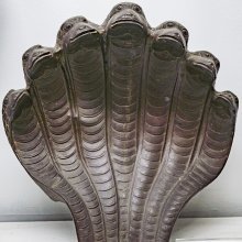 Naga, Nāga, Nāgā: 40 definitions