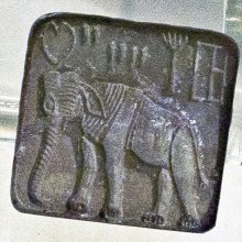 gallery thumb