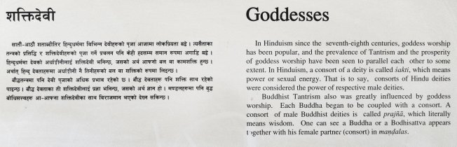 Goddesses (Shakti-Devi) [Buddhist Art Gallery: Northern Himalayan Section]