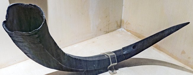 Traditional Gayal Singa [Odisha State Museum—Musical instruments]