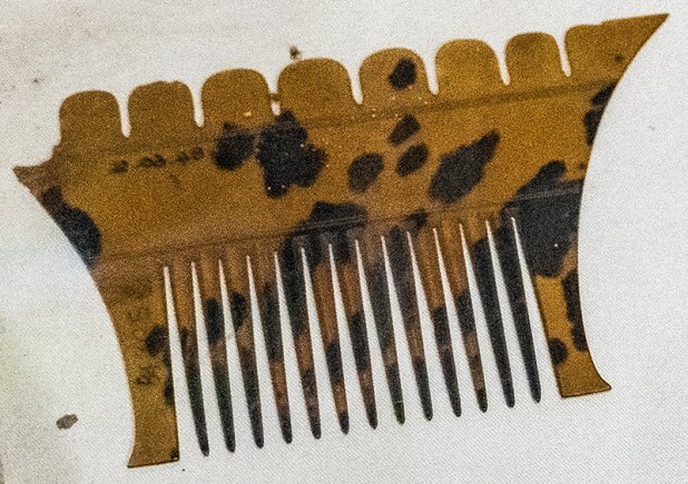 Turtle Shell Combs [Galle National Museum]