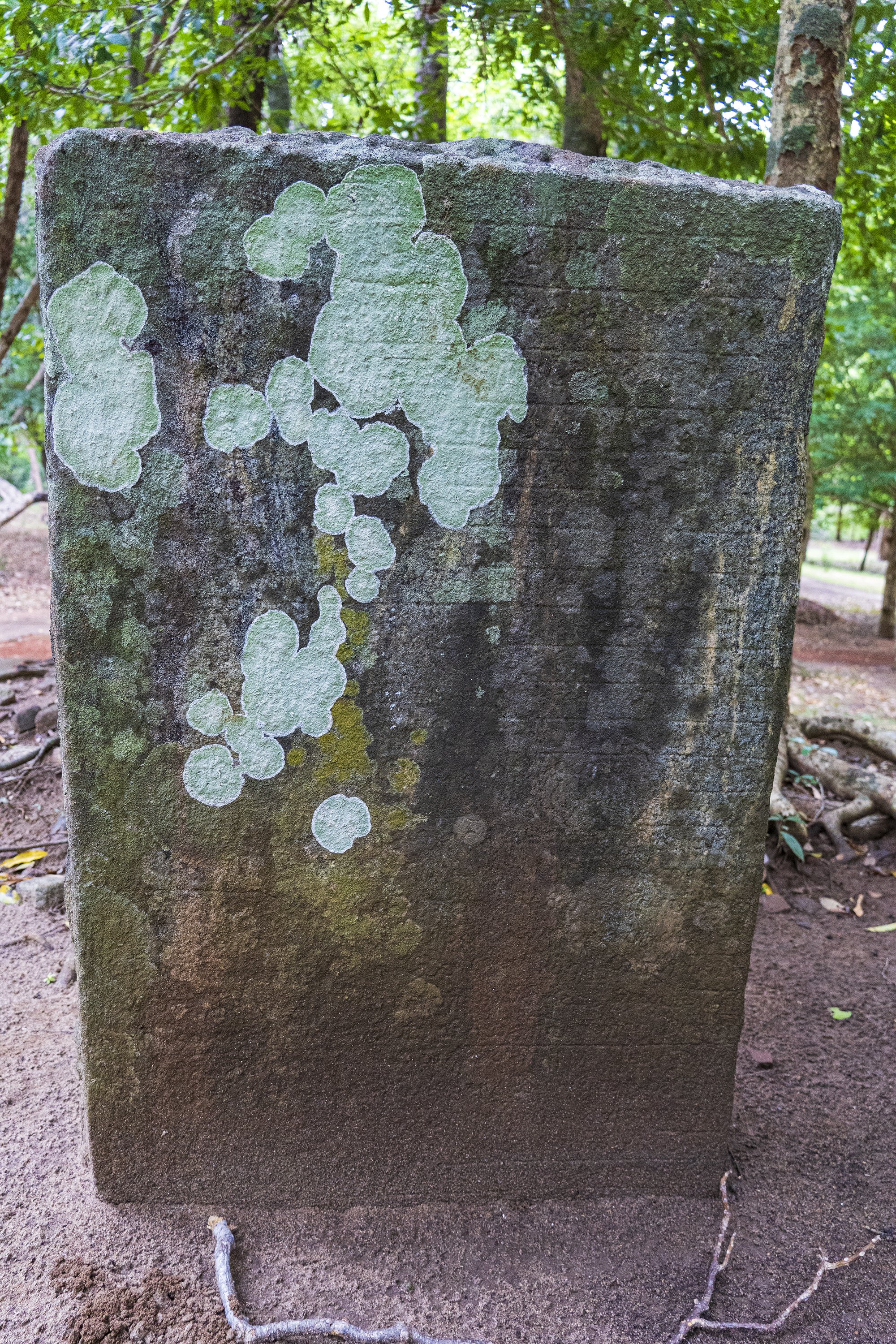 Slab inscription [Kaludiya Pokuna Archaeological Site]