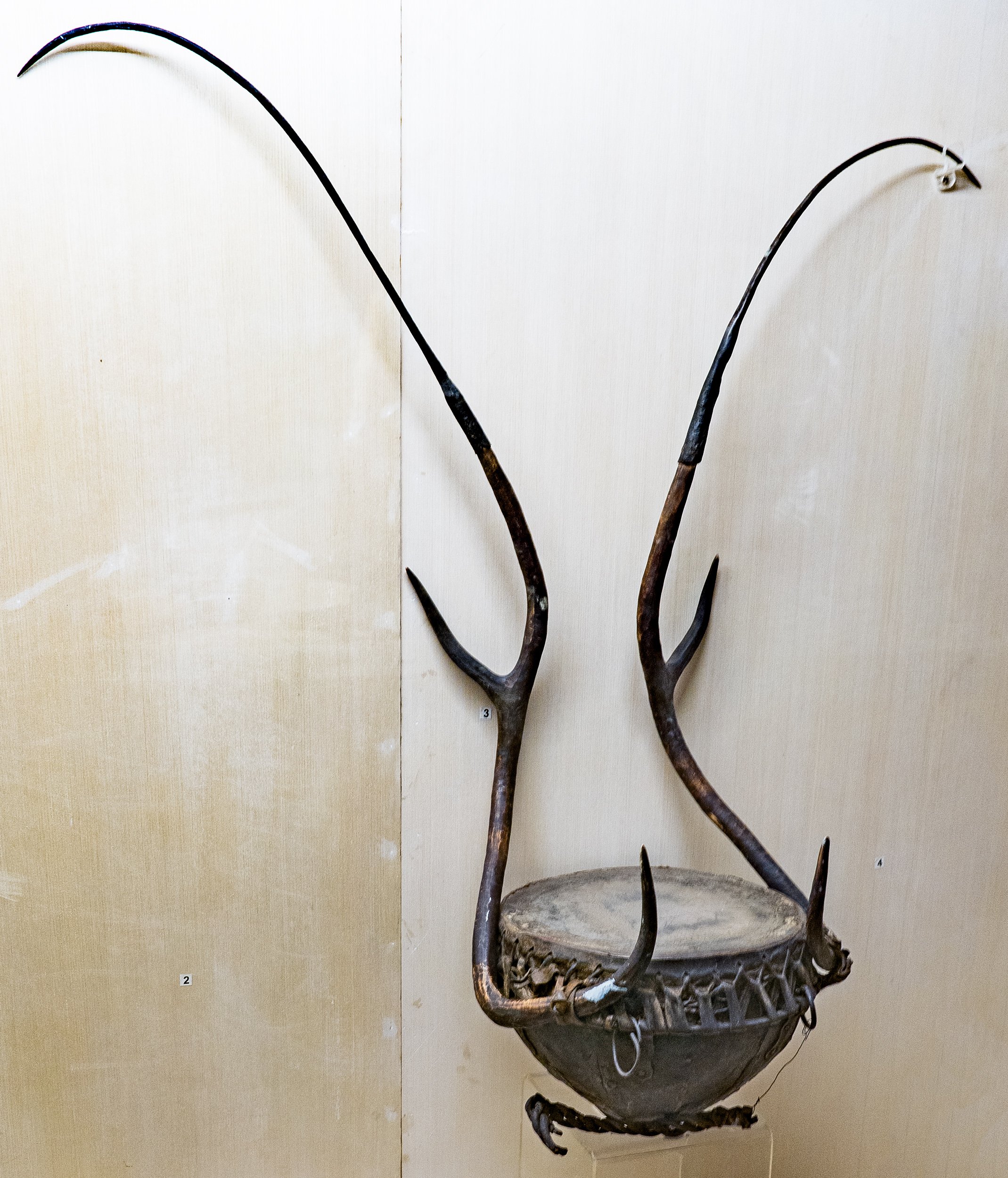 Tumudu Drum (musical instrument) [Odisha State Museum—Musical instruments]