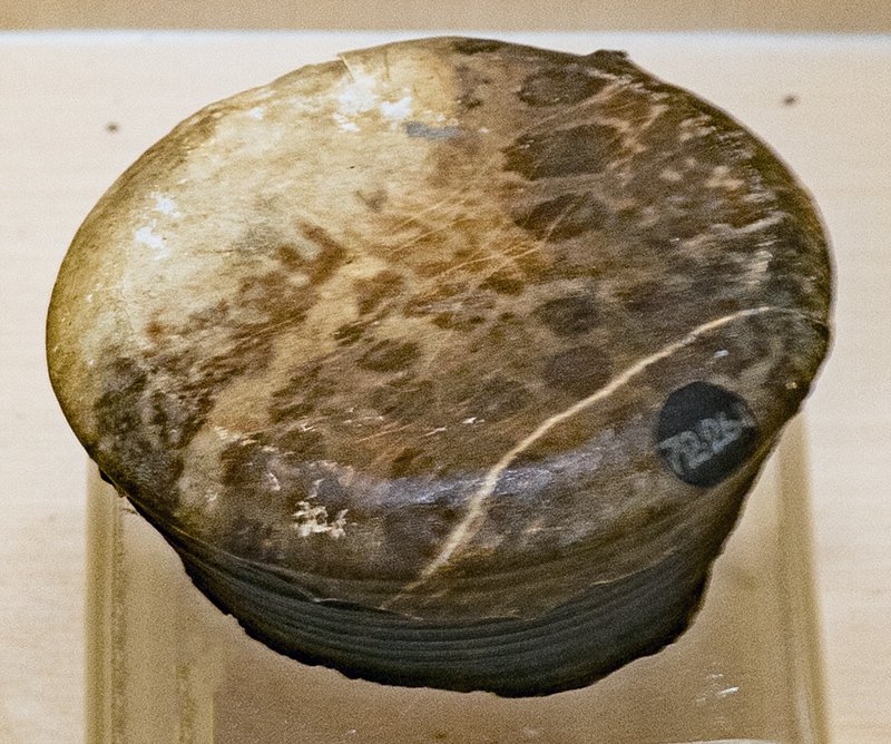 Benga Vadya (musical instrument) [Odisha State Museum—Musical instruments]