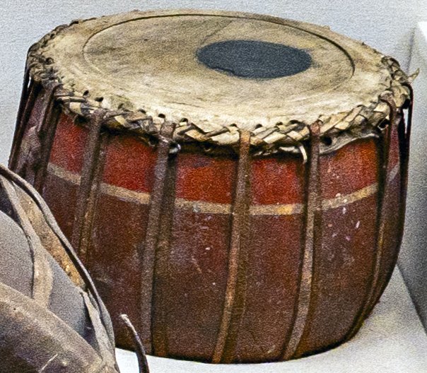 Banya (musical instrument) (20th century) [New Delhi Museum—Musical ...