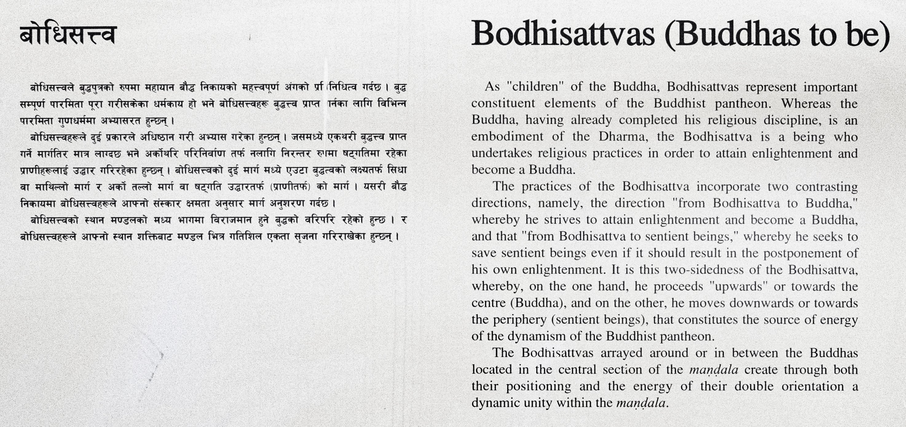 Bodhisattvas (Buddhas to be)