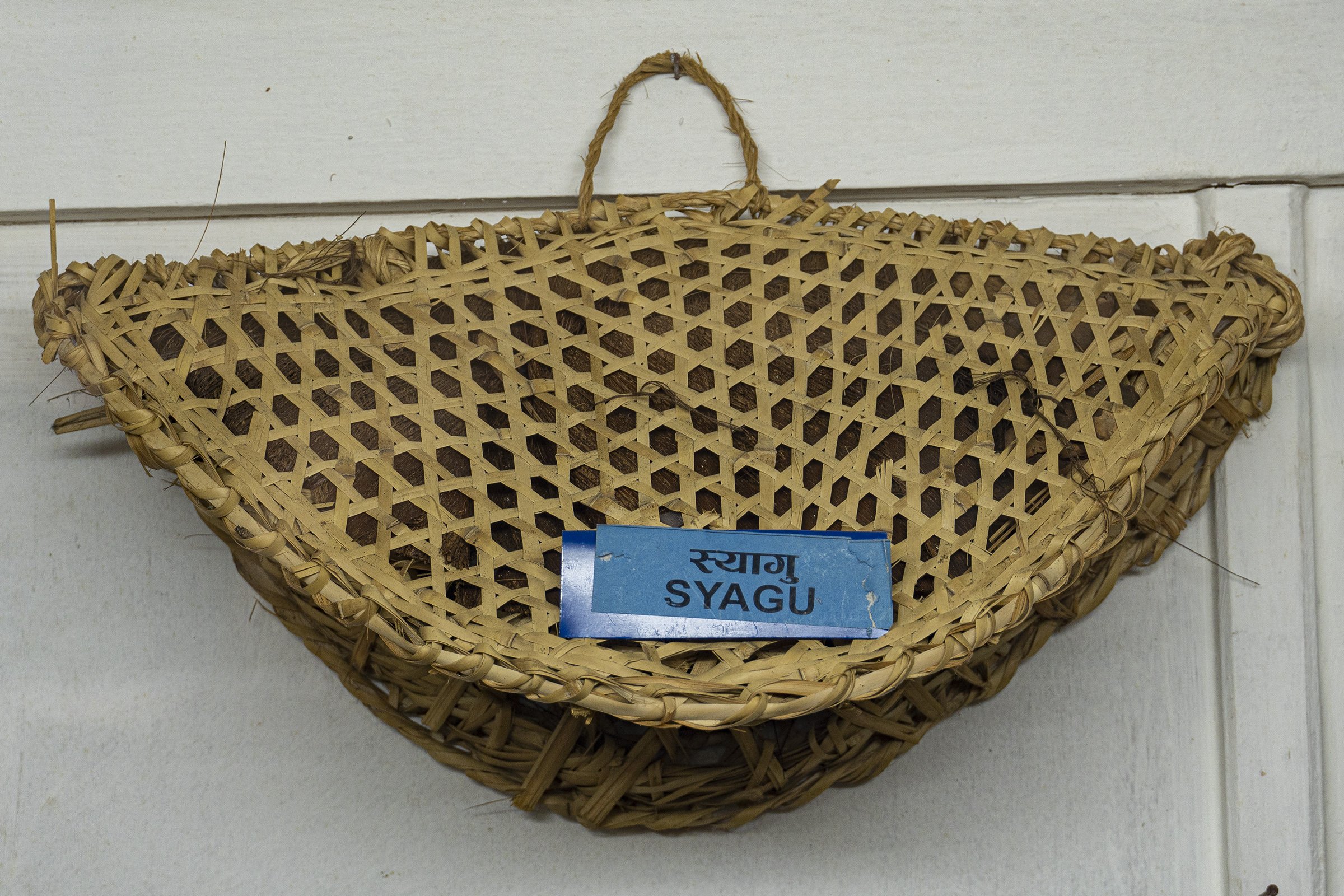 Chhantyal Syagu