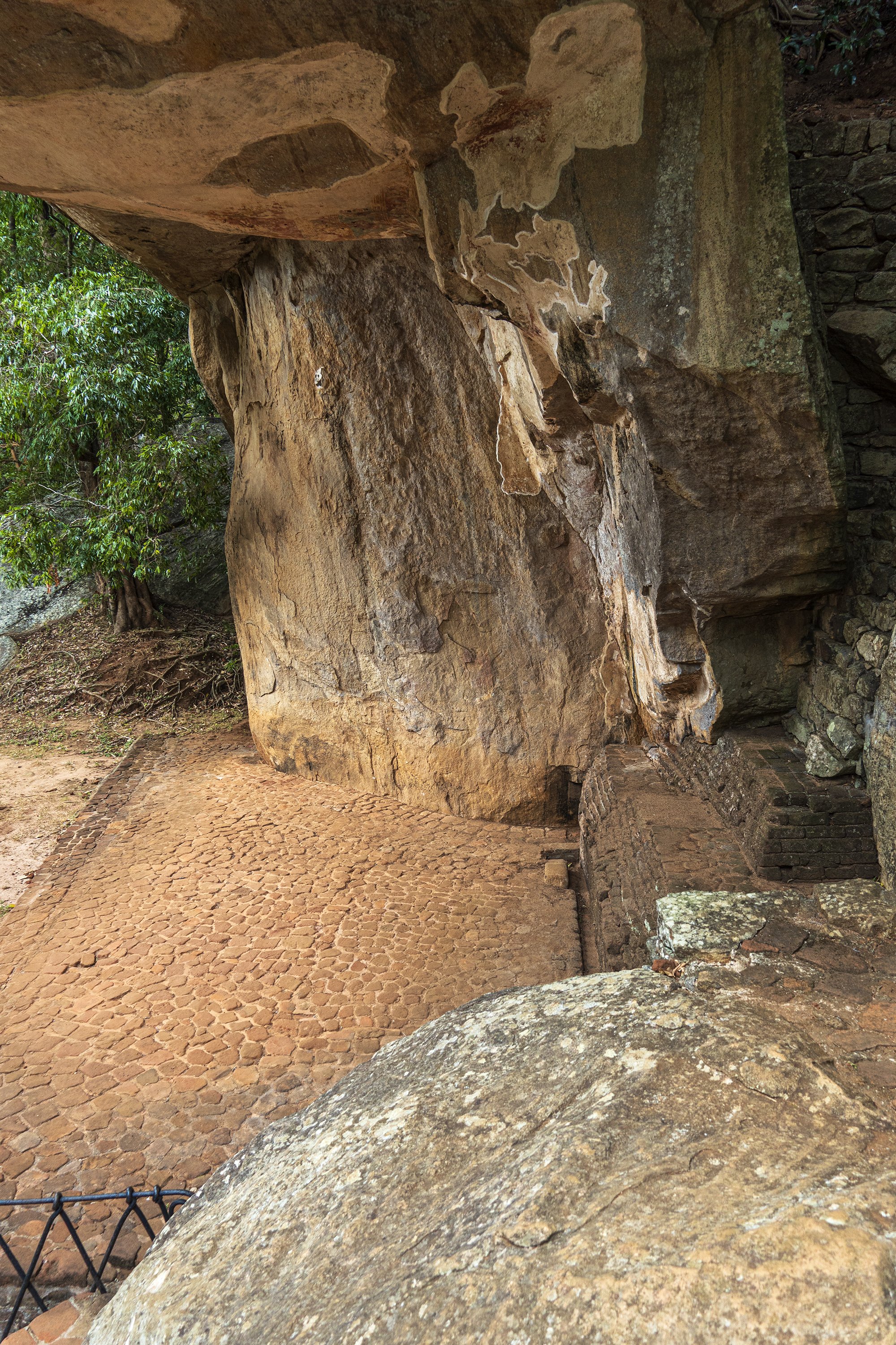 Cobra Hood Cave (detail)