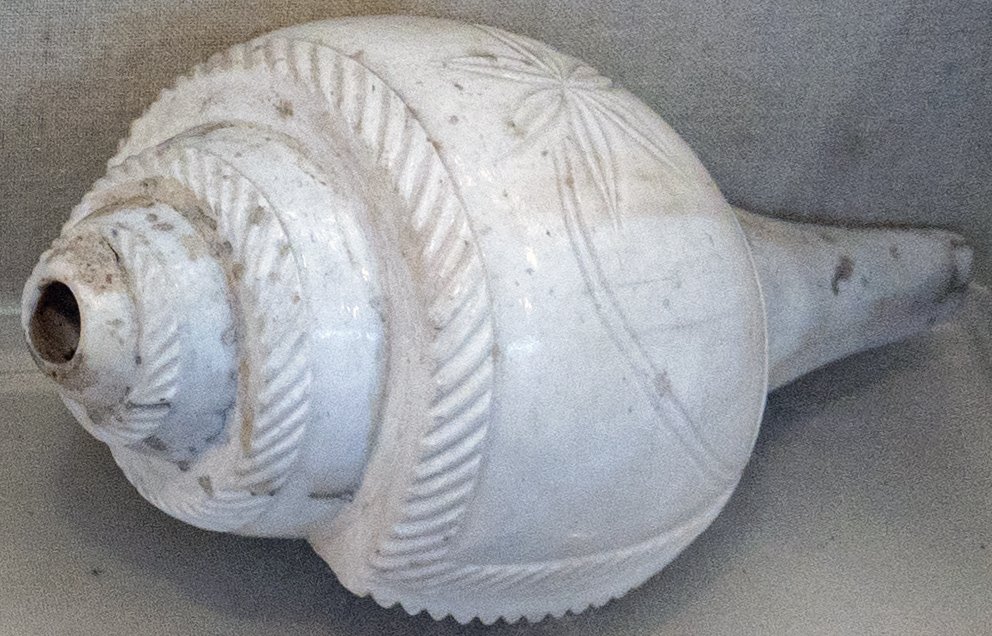 Conch (Shankha) (West Bengal) [New Delhi Museum—Musical Instruments]