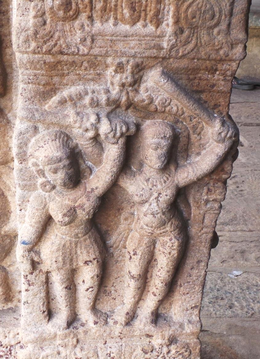 Figure 172. Dasis.