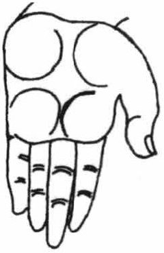 Figure 10: Varada-mudra