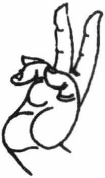 Figure 13: Kartarimukha-hasta