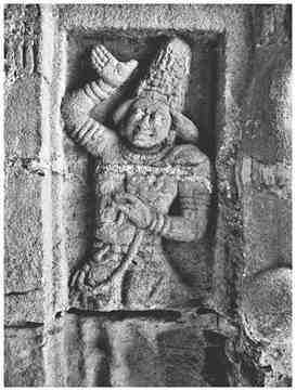 Figure 241: Garuda