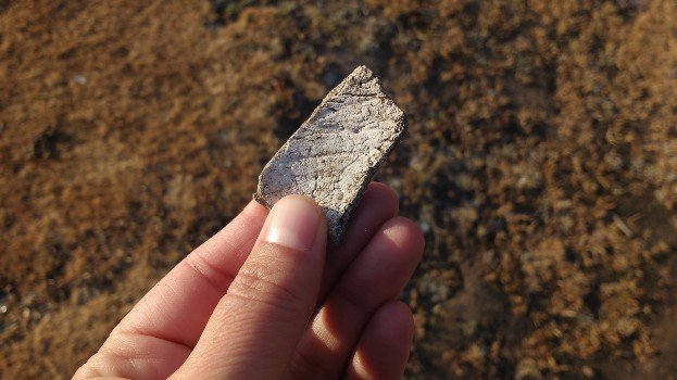 Figure 4.1.1: Aged and exposed fragment of a human