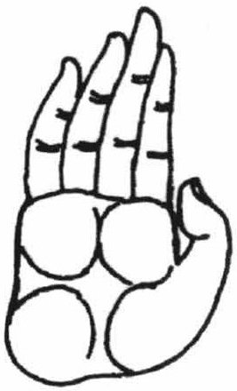 Figure 9: Abhaya-hasta