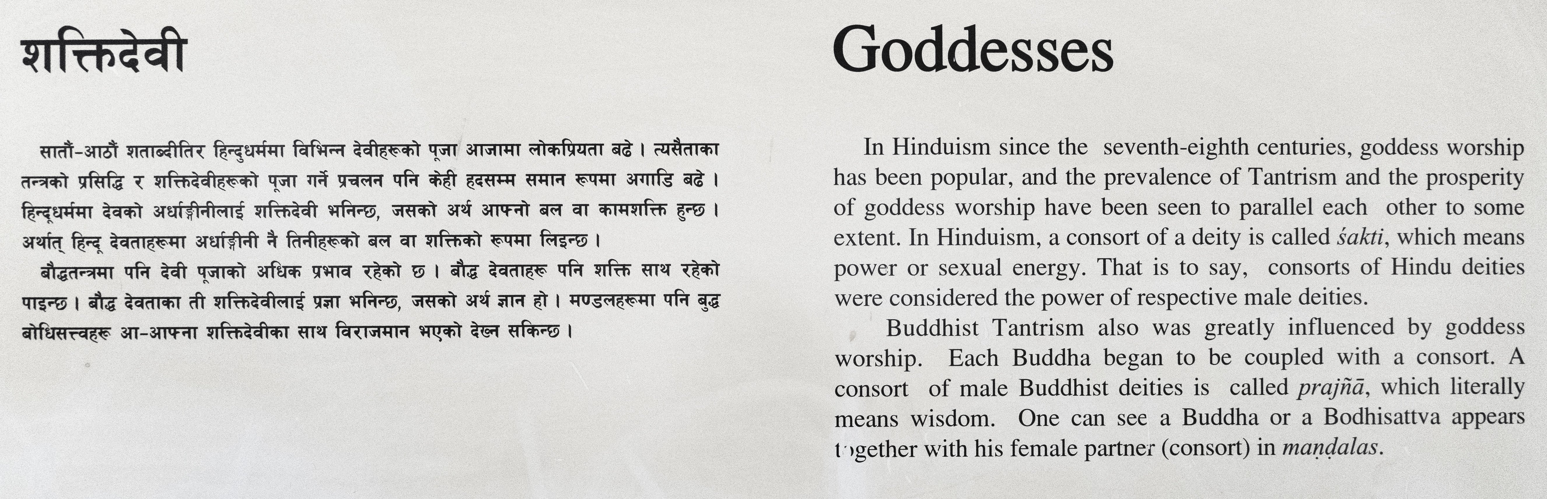 Goddesses (Shakti-Devi)