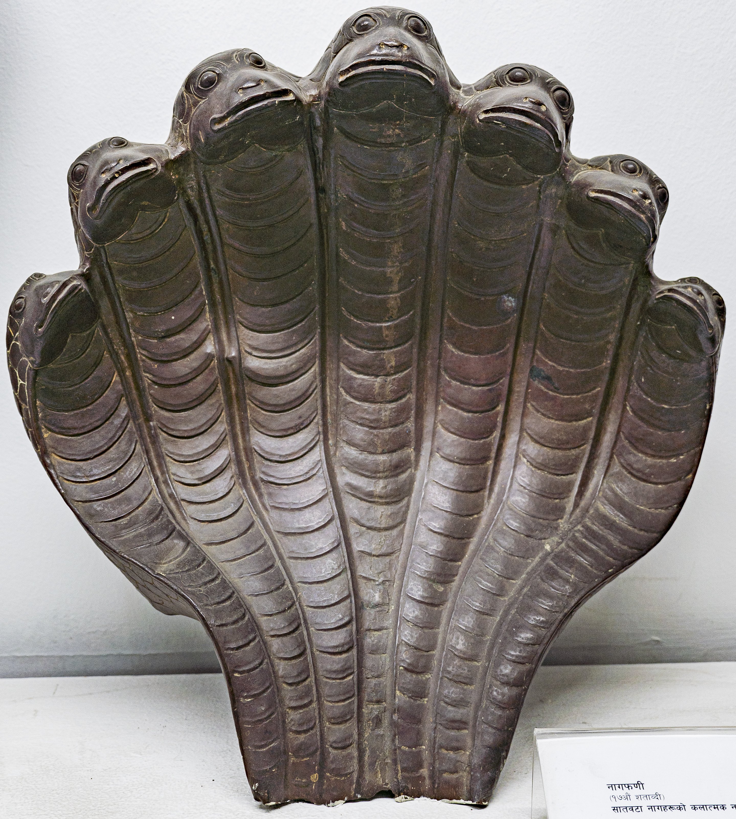 Nagaphani