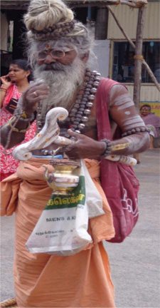 Siddha Agastya (Tiruvannamalai temple)
