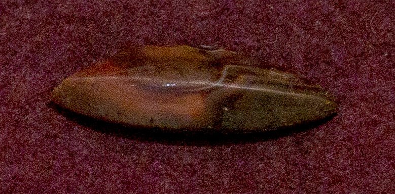 Terai bead