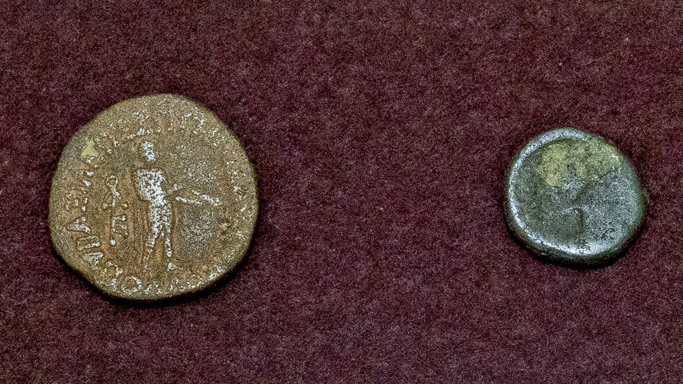 Terai coin
