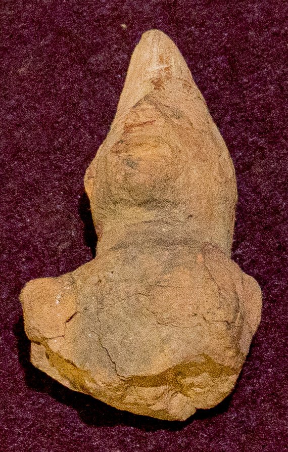 Terai human head