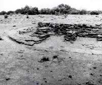 Figure 12. The Archaeological site of Bharhut, Satna, Madhya Pradesh
