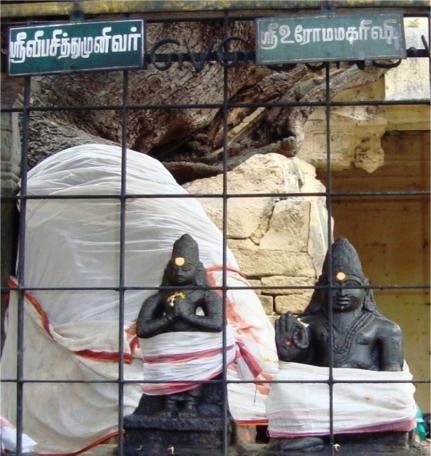 Vibhasithu Muni and Romarishi
